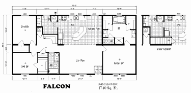 Falcon